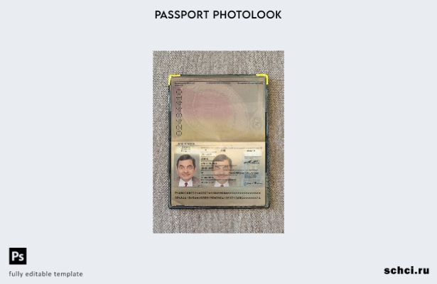 цифровая загрузка шаблона фотоизображения для паспорта Андорры